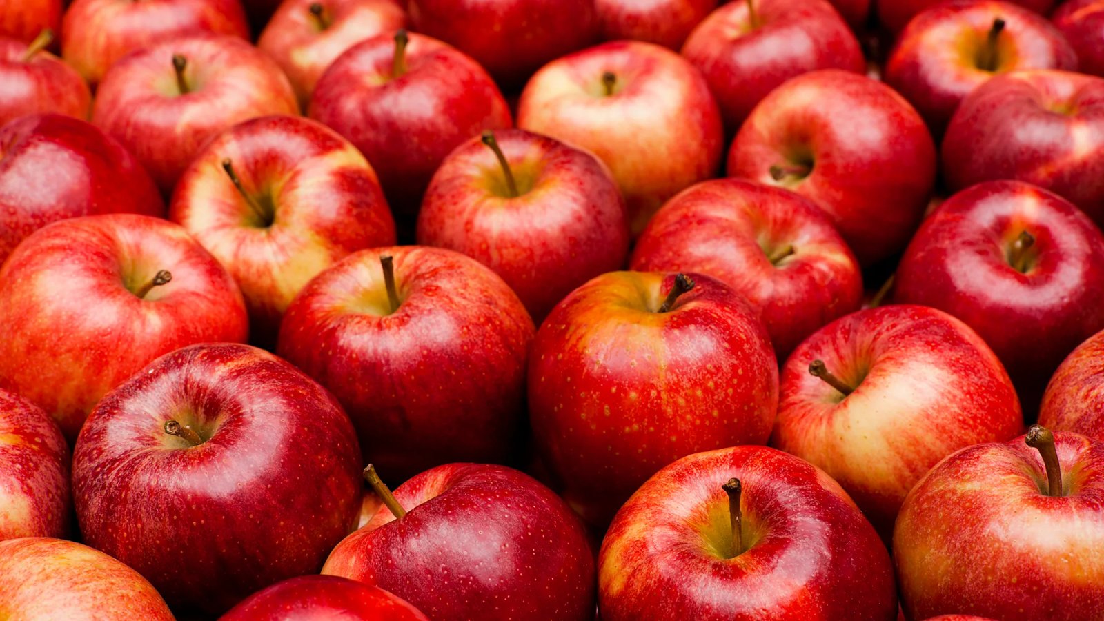  Apples export to Canada 