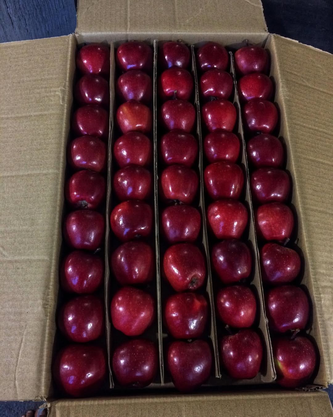  Plums export to Canada 