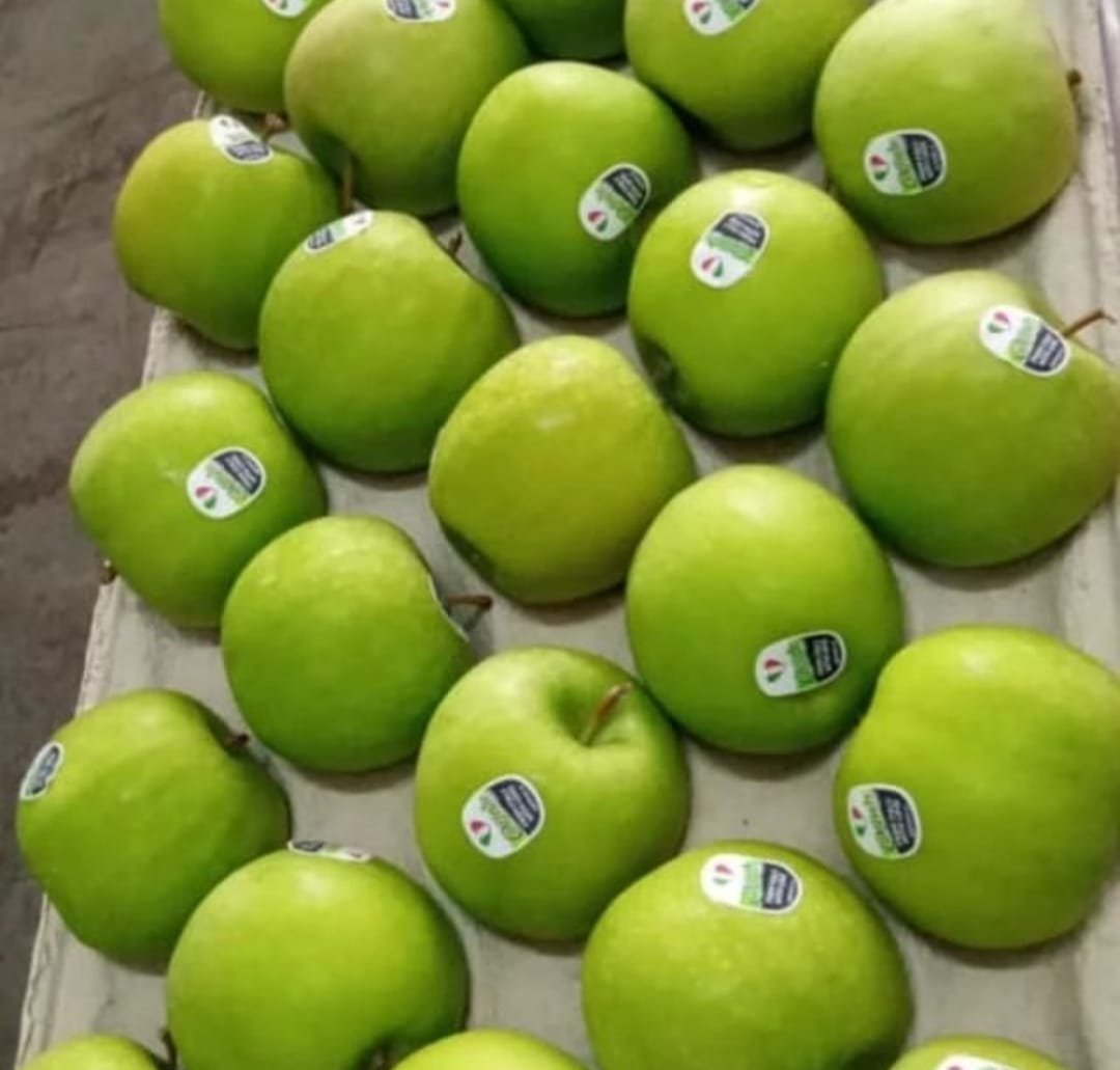  Apples export to USA 